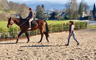 Ich unterrichte nach den Prinzipien der akademischen Reitkunst und Intrinzen